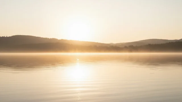 Ruhige Wasseroberfläche im goldenen Morgenlicht mit sanftem Nebel über dem See