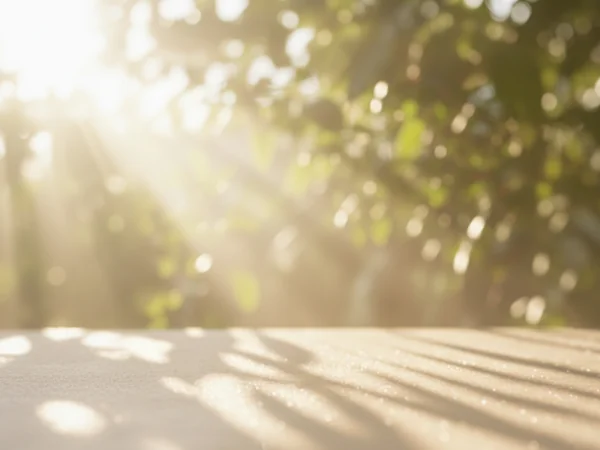 Sonnenlicht fällt durch Blätter und zeichnet weiche Lichtflecken auf eine helle Fläche