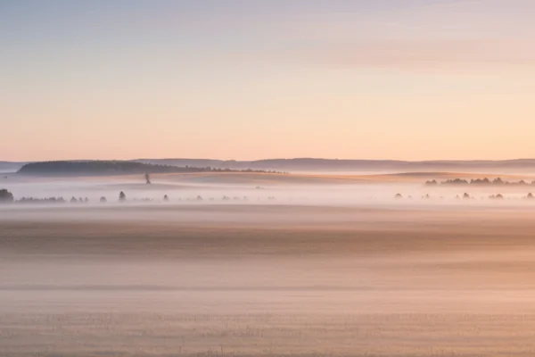 Weite Landschaft im frühen Morgenlicht, feiner Nebel über den Feldern, sanfte Hügel im Hintergrund