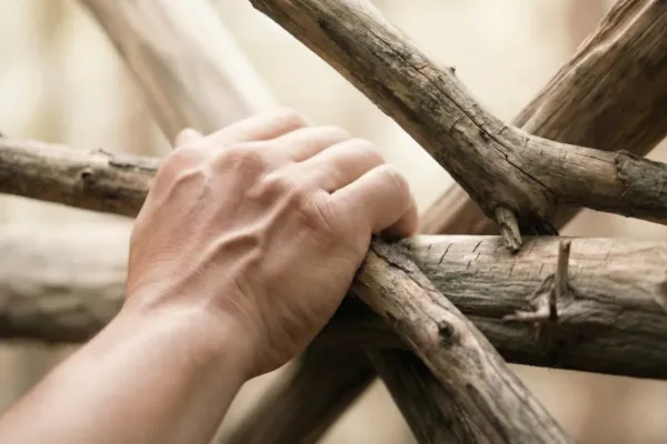 Hand hält mehrere gekreuzte Holzäste in warmem Licht und zeigt Halt, Verantwortung und Verbundenheit.